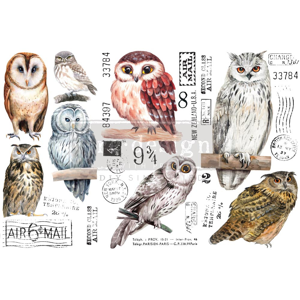 Owl - Small Transfer - 6" x 12", 3 sheets