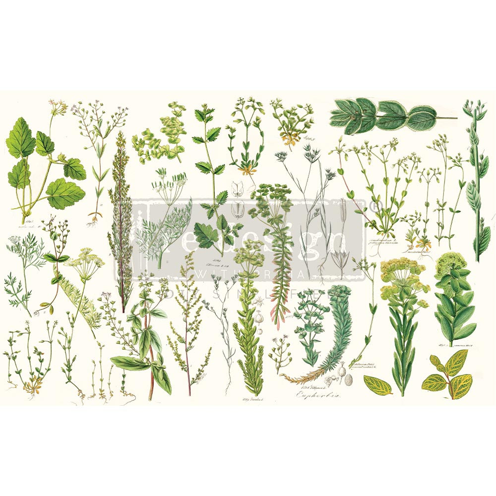 Greenery - Fiber Tissue Paper Decoupage - 1 sheet