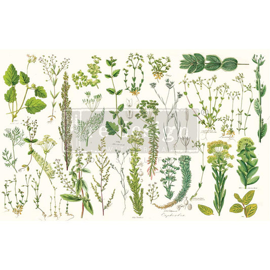 Greenery - Fiber Tissue Paper Decoupage - 1 sheet