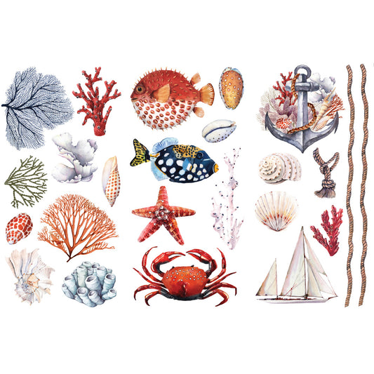 Amazing Sea Life - Small Transfer - 6" x 12", 3 sheets