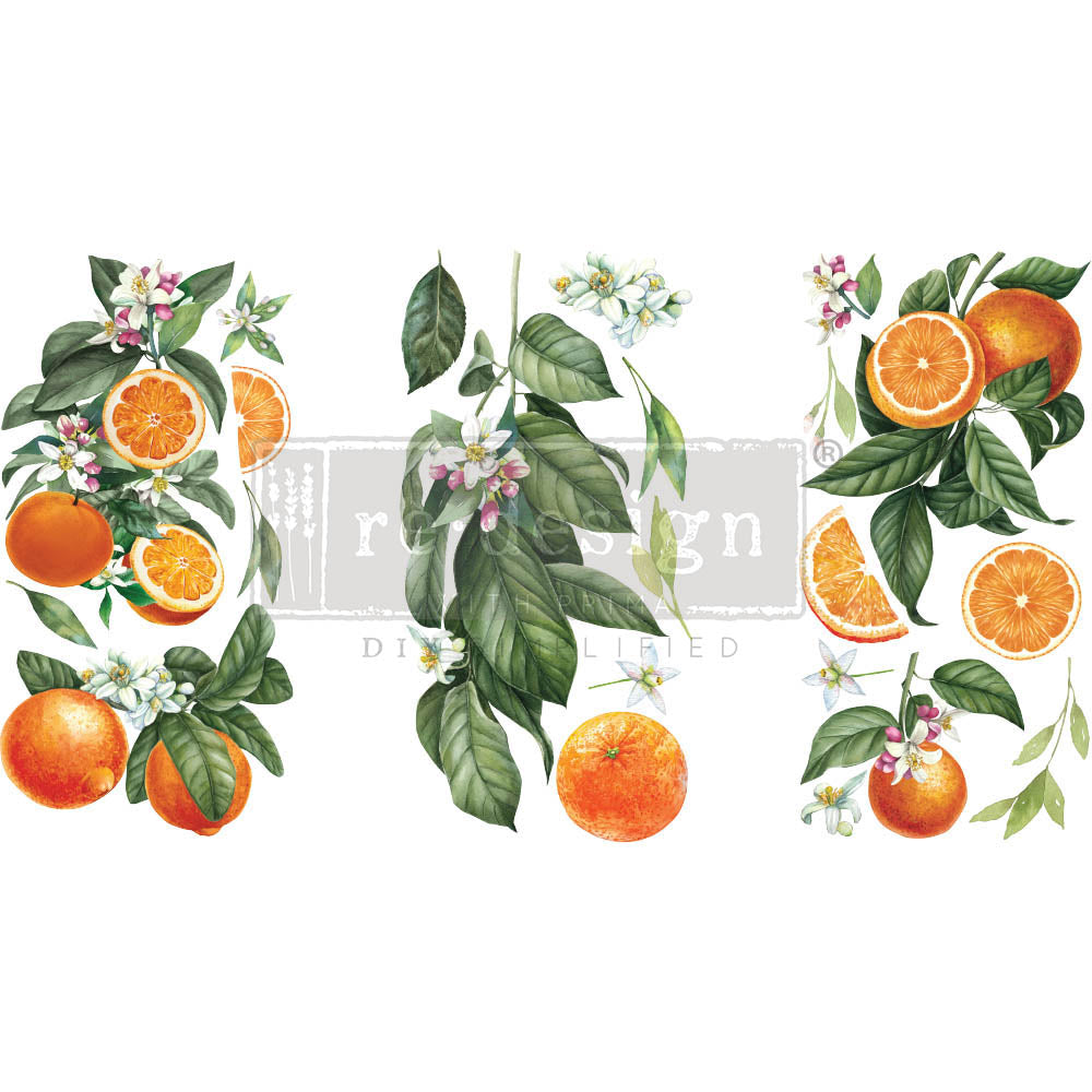 Citrus Slice - Small Transfer - 6" x 12", 3 sheets